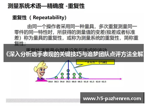《深入分析选手表现的关键技巧与追梦团队点评方法全解》