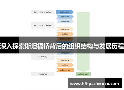 深入探索斯坦福桥背后的组织结构与发展历程