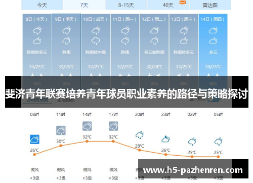 斐济青年联赛培养青年球员职业素养的路径与策略探讨