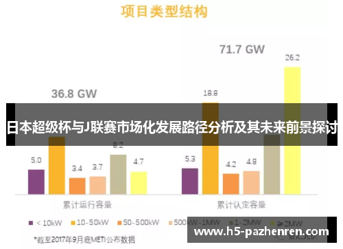 日本超级杯与J联赛市场化发展路径分析及其未来前景探讨