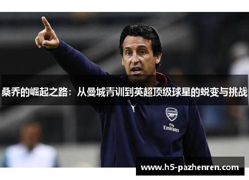 桑乔的崛起之路：从曼城青训到英超顶级球星的蜕变与挑战