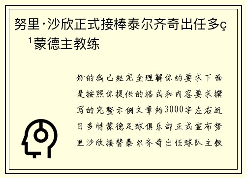 努里·沙欣正式接棒泰尔齐奇出任多特蒙德主教练