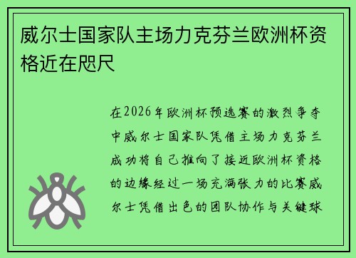 威尔士国家队主场力克芬兰欧洲杯资格近在咫尺